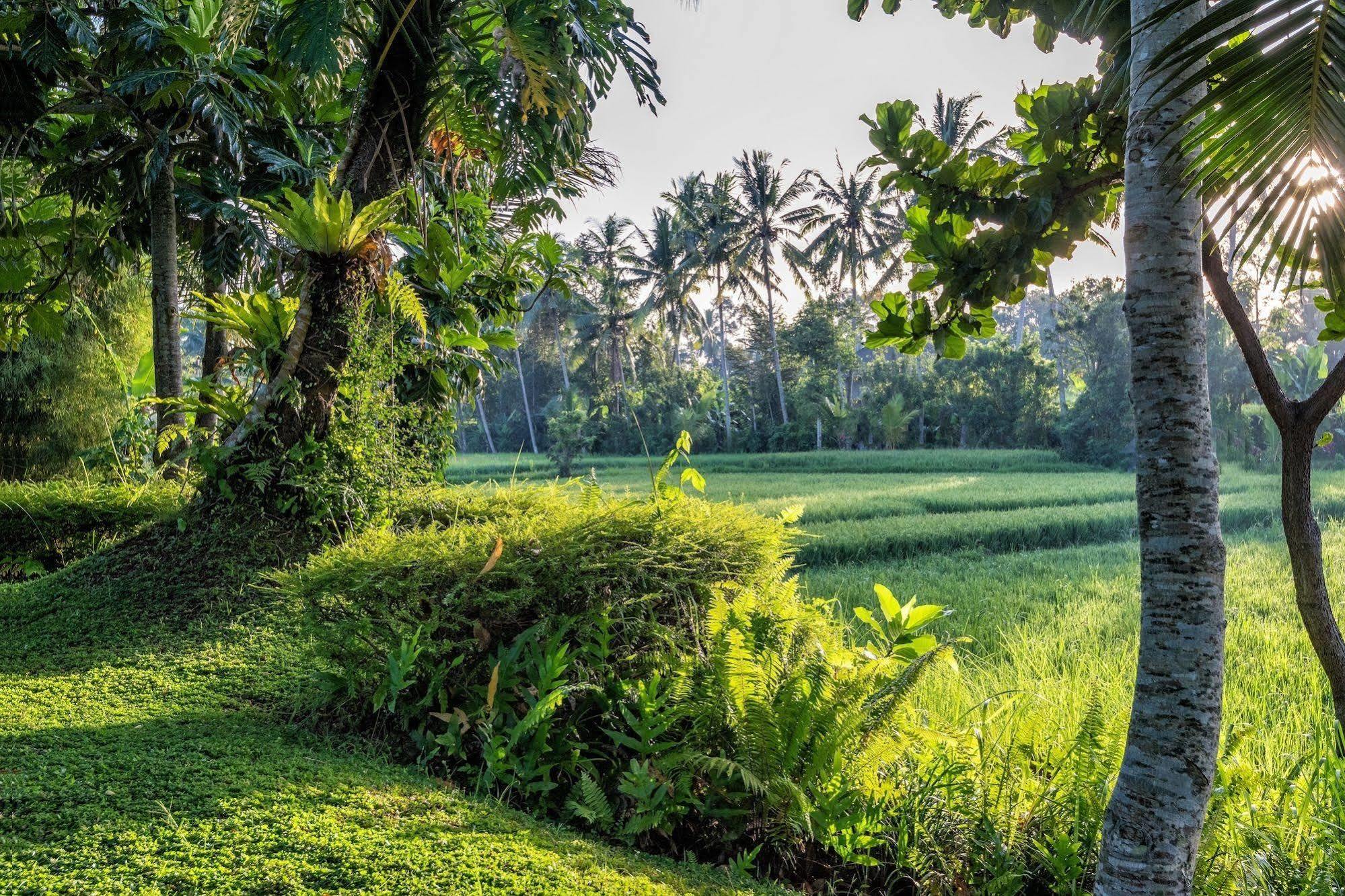 Villa Sabandari Ubud Eksteriør bilde